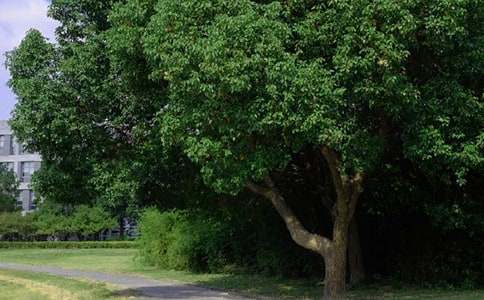 ��̵��簲QQ�ʺ���