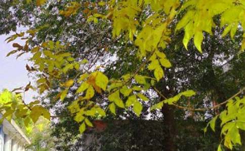 关于早安正能量的说说