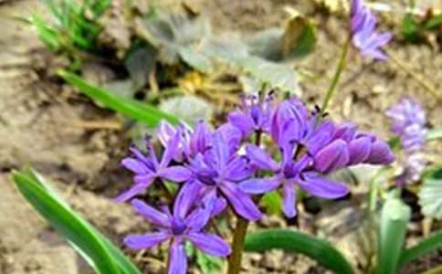 ��������ÿ��һ���簲����Ȧ�ʺ���41��