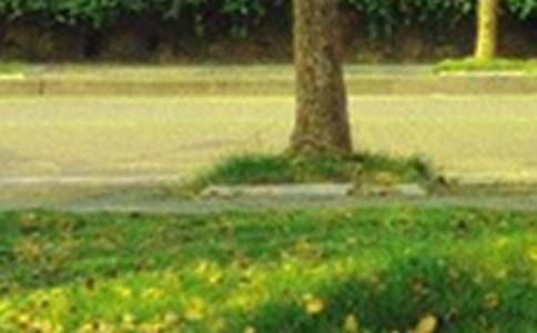 优美的早安微信问候语摘录52句