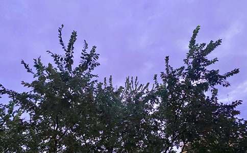 �򵥵����õ��簲�ʺ�����¼�����50��