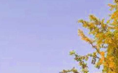 2023���̵����õ��簲΢��ף����ϼ�38��