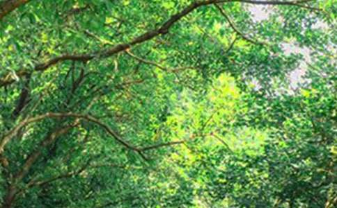 2026年有关动人的早安问候语锦集40句