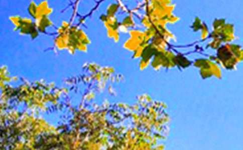 ���Ƽ����������簲�ʺ�����Ž���32��