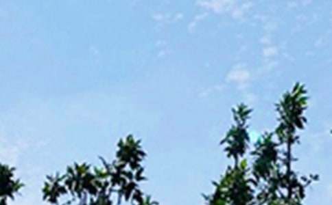 【精华】每日一签早安心语语录21句