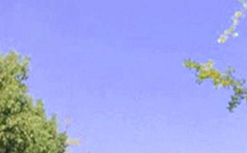 【实用】优美的早安问候语语录21句