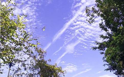 ��ʵ�á����õ��簲����Ȧף����48��