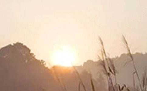 �й��簲ף�����ȫ����ѡ160�䣩