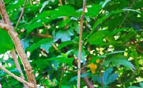 ��̵�ÿ��һ���簲QQ�ʺ���27��