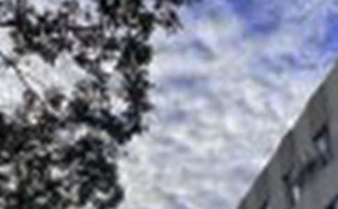 �����������簲˵˵65�侫ѡ