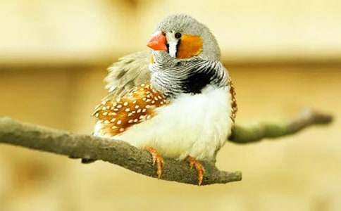 �������񡷽�ѧ���15ƪ[�ر�]