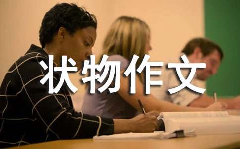 ��������д״������300�ֻ����ƪ