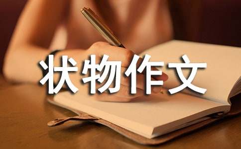 ��ϲ������״������