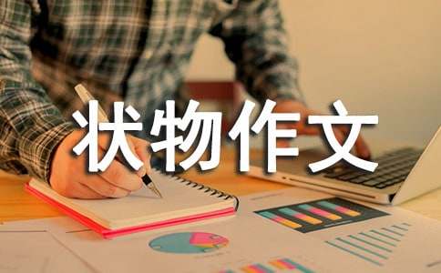 【热门】状物作文300字集合八篇