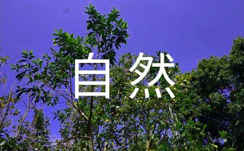 《大自然的语言》教学反思(15篇)