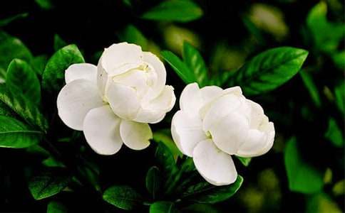 ���꼶���򻨽̰�