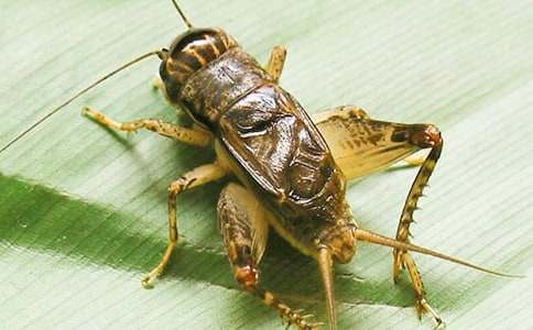 (��)�����סլ����ѧ��˼