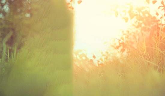 经典文艺唯美说说70句