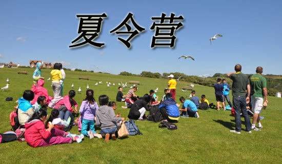 ����Ӫ�ĵ����