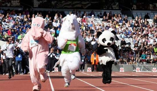 �˶��ῪĻ��