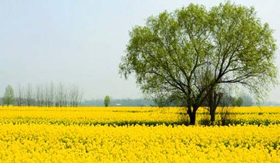 ���ر�������д������