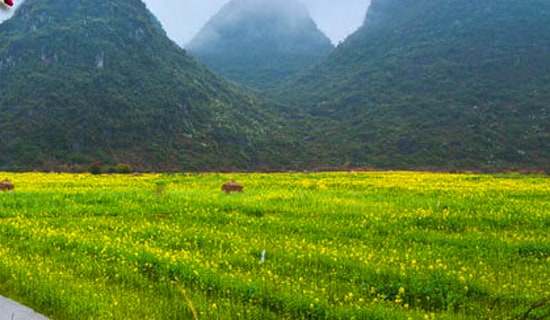 科技馆春游作文